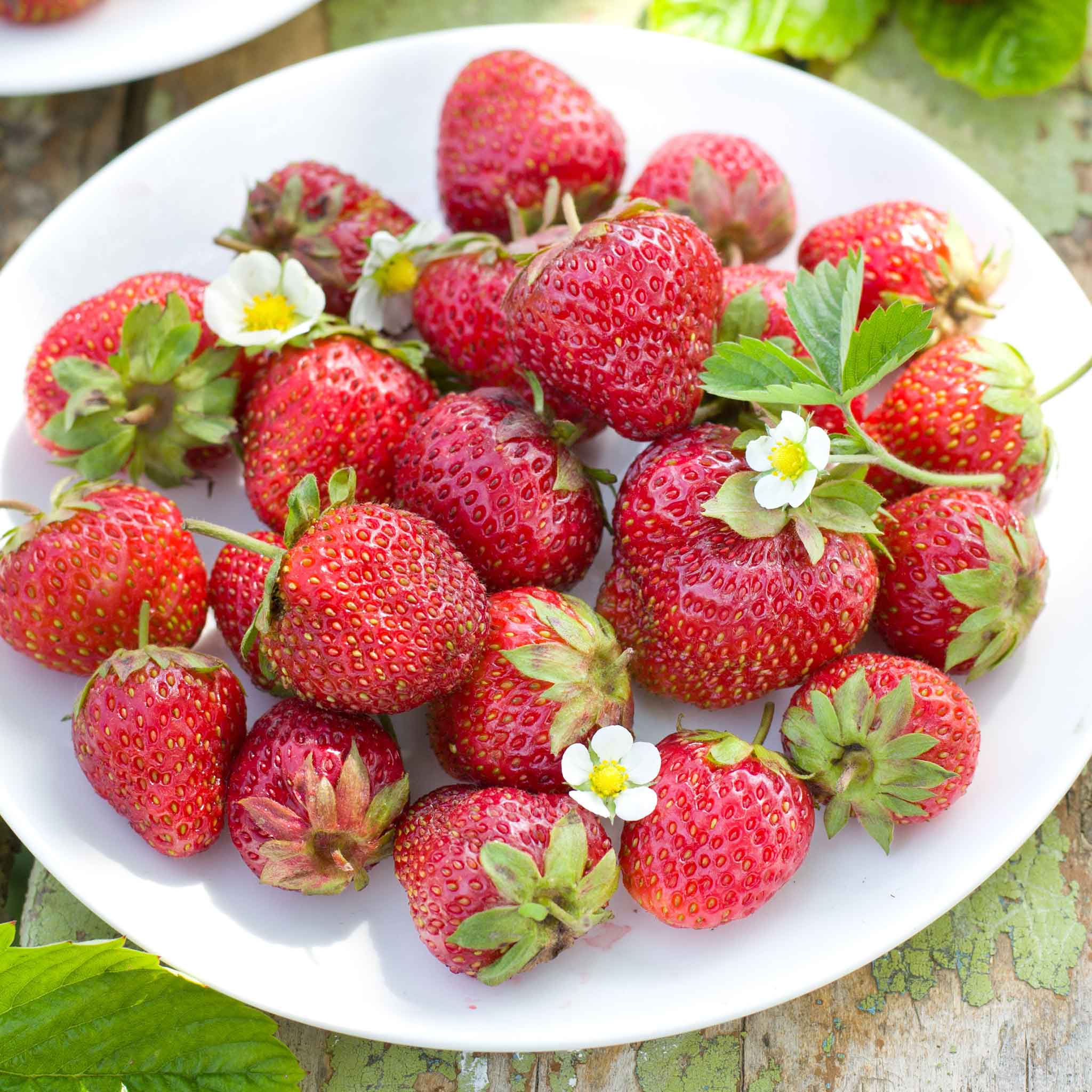 New Vegetables and Herbs